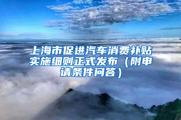 上海市促进汽车消费补贴实施细则正式发布（附申请条件问答）