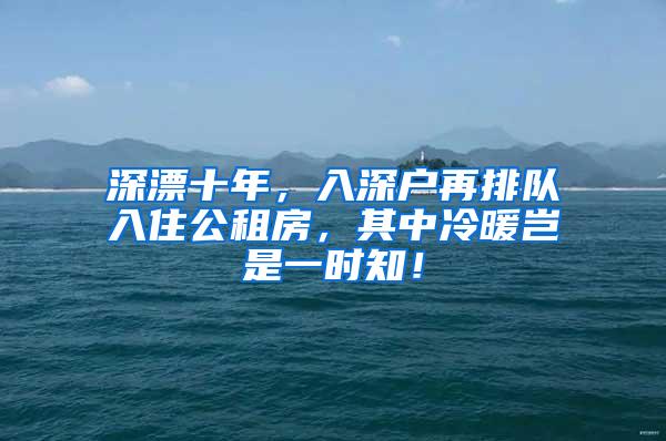 深漂十年，入深户再排队入住公租房，其中冷暖岂是一时知！