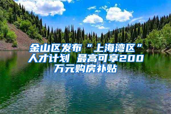 金山区发布“上海湾区”人才计划 最高可享200万元购房补贴