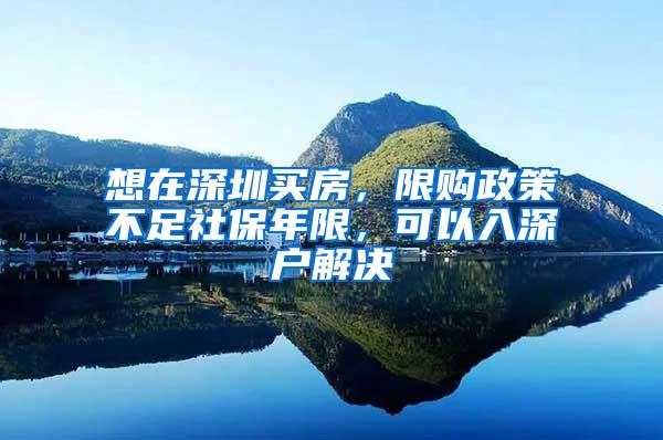 想在深圳买房，限购政策不足社保年限，可以入深户解决
