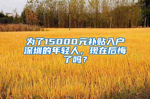 为了15000元补贴入户深圳的年轻人，现在后悔了吗？