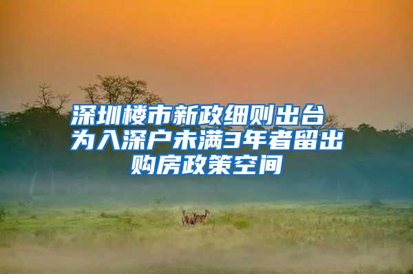 深圳楼市新政细则出台 为入深户未满3年者留出购房政策空间