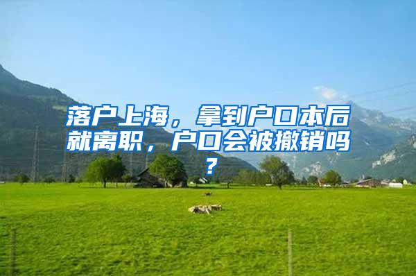 落户上海，拿到户口本后就离职，户口会被撤销吗？