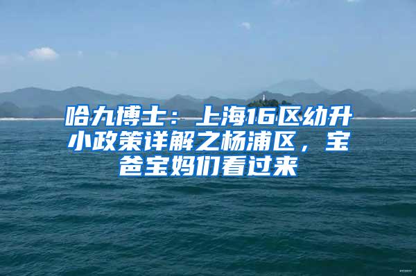 哈九博士：上海16区幼升小政策详解之杨浦区，宝爸宝妈们看过来