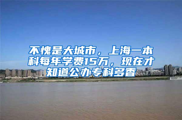 不愧是大城市，上海一本科每年学费15万，现在才知道公办专科多香
