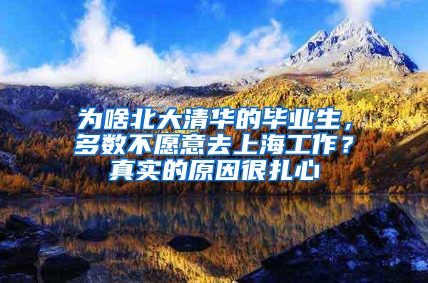 为啥北大清华的毕业生，多数不愿意去上海工作？真实的原因很扎心