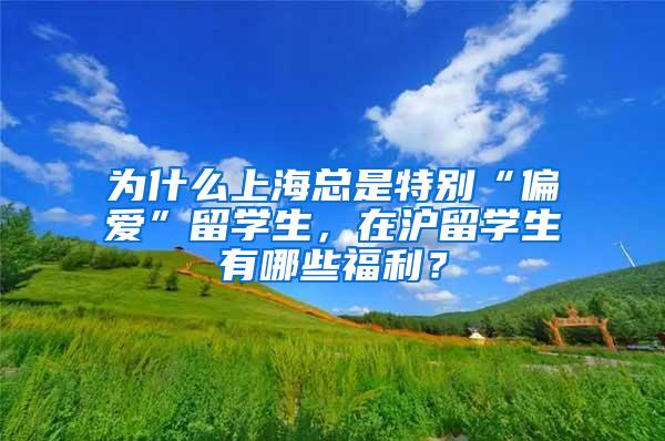 为什么上海总是特别“偏爱”留学生，在沪留学生有哪些福利？