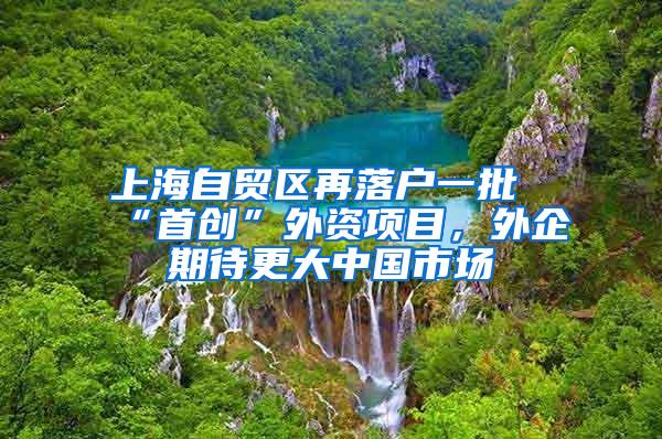 上海自贸区再落户一批“首创”外资项目，外企期待更大中国市场