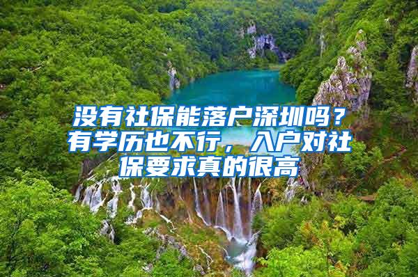 没有社保能落户深圳吗？有学历也不行，入户对社保要求真的很高