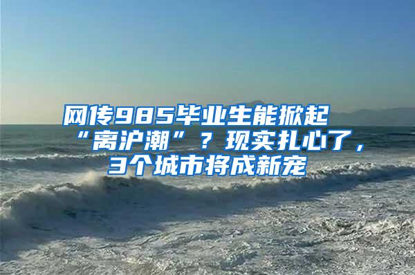 网传985毕业生能掀起“离沪潮”？现实扎心了，3个城市将成新宠