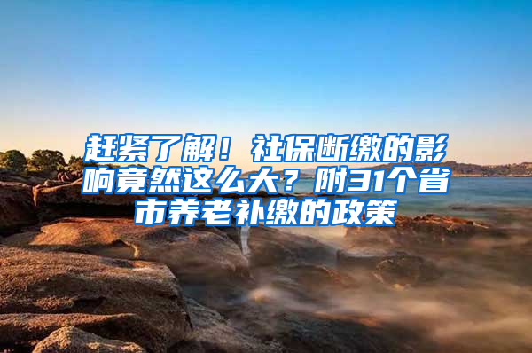 赶紧了解！社保断缴的影响竟然这么大？附31个省市养老补缴的政策