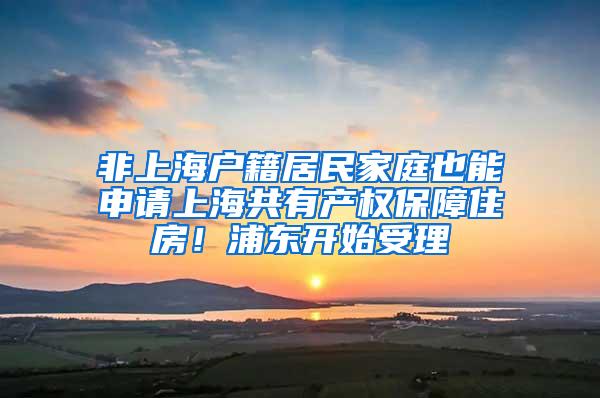 非上海户籍居民家庭也能申请上海共有产权保障住房！浦东开始受理