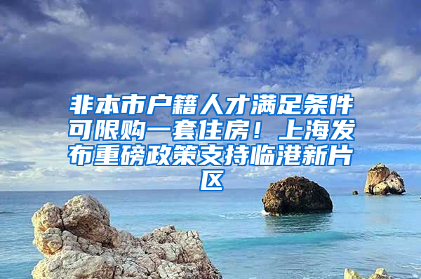 非本市户籍人才满足条件可限购一套住房！上海发布重磅政策支持临港新片区