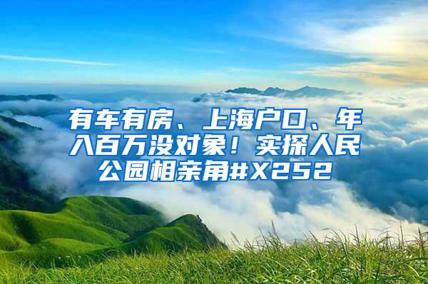 有车有房、上海户口、年入百万没对象！实探人民公园相亲角#X252