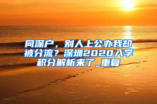 同深户，别人上公办我却被分流？深圳2020入学积分解析来了_重复