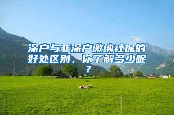 深户与非深户缴纳社保的好处区别，你了解多少呢？