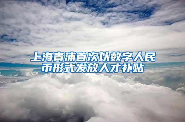 上海青浦首次以数字人民币形式发放人才补贴