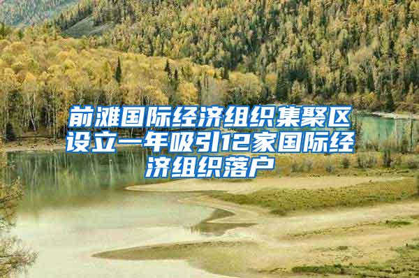 前滩国际经济组织集聚区设立一年吸引12家国际经济组织落户