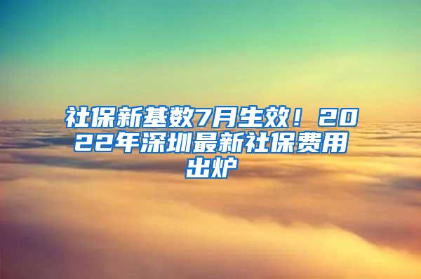 社保新基数7月生效！2022年深圳最新社保费用出炉