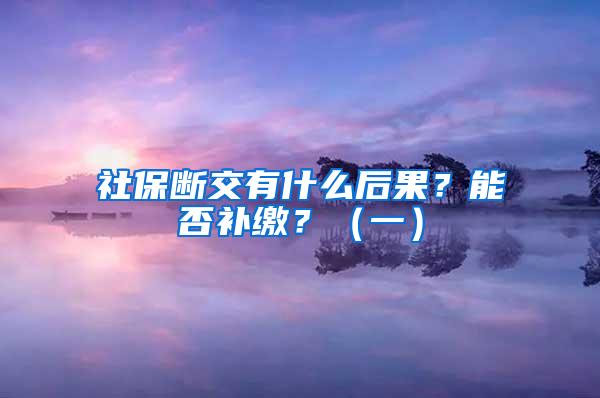 社保断交有什么后果？能否补缴？（一）