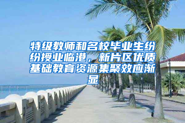 特级教师和名校毕业生纷纷授业临港，新片区优质基础教育资源集聚效应渐显