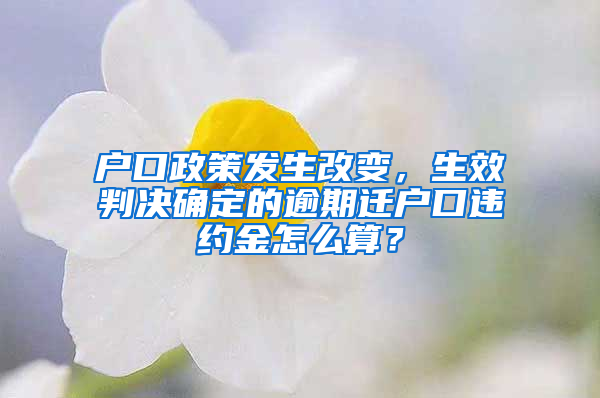 户口政策发生改变，生效判决确定的逾期迁户口违约金怎么算？