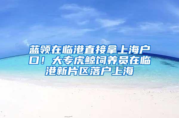 蓝领在临港直接拿上海户口！大专虎鲸饲养员在临港新片区落户上海
