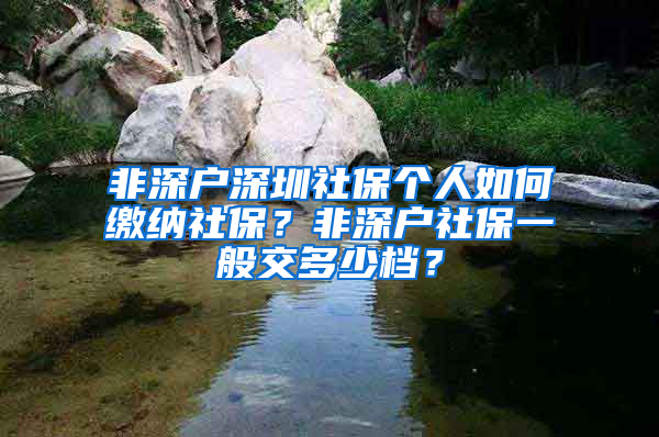 非深户深圳社保个人如何缴纳社保？非深户社保一般交多少档？