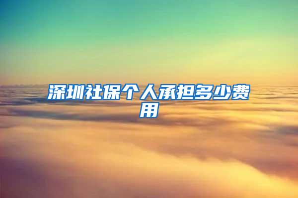 深圳社保个人承担多少费用