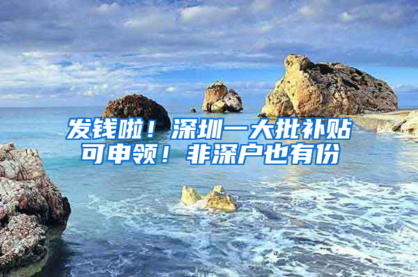 发钱啦！深圳一大批补贴可申领！非深户也有份