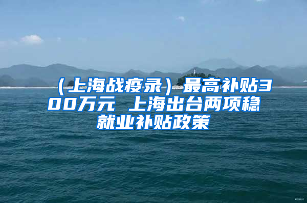 （上海战疫录）最高补贴300万元 上海出台两项稳就业补贴政策