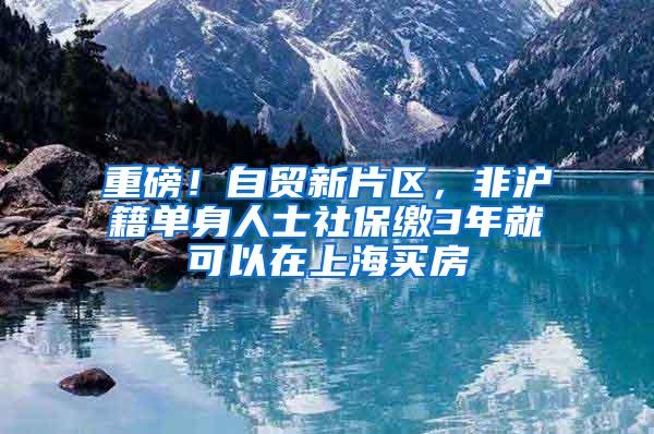 重磅！自贸新片区，非沪籍单身人士社保缴3年就可以在上海买房