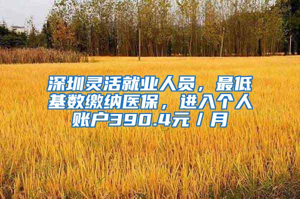 深圳灵活就业人员，最低基数缴纳医保，进入个人账户390.4元／月