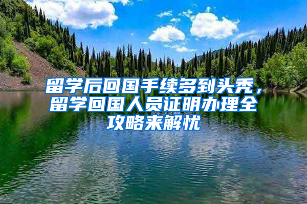 留学后回国手续多到头秃，留学回国人员证明办理全攻略来解忧