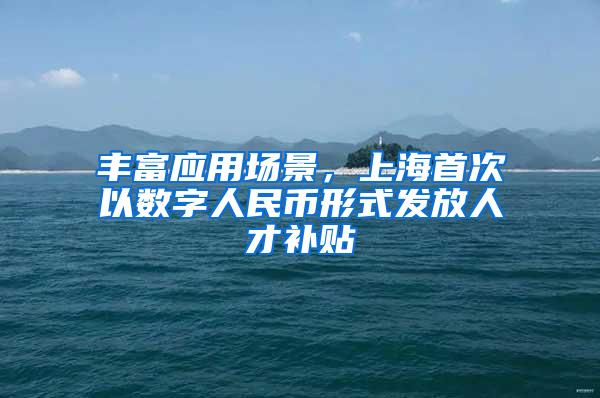 丰富应用场景，上海首次以数字人民币形式发放人才补贴