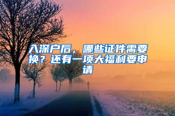 入深户后，哪些证件需要换？还有一项大福利要申请