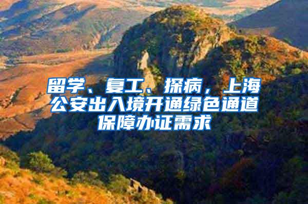 留学、复工、探病，上海公安出入境开通绿色通道保障办证需求