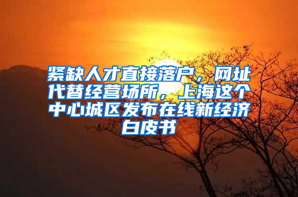 紧缺人才直接落户，网址代替经营场所，上海这个中心城区发布在线新经济白皮书