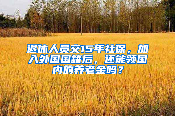 退休人员交15年社保，加入外国国籍后，还能领国内的养老金吗？