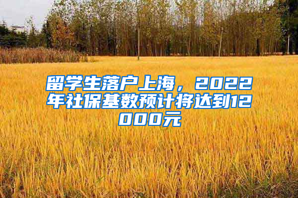 留学生落户上海，2022年社保基数预计将达到12000元