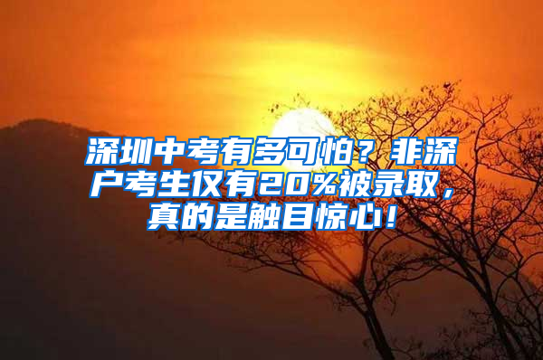 深圳中考有多可怕？非深户考生仅有20%被录取，真的是触目惊心！