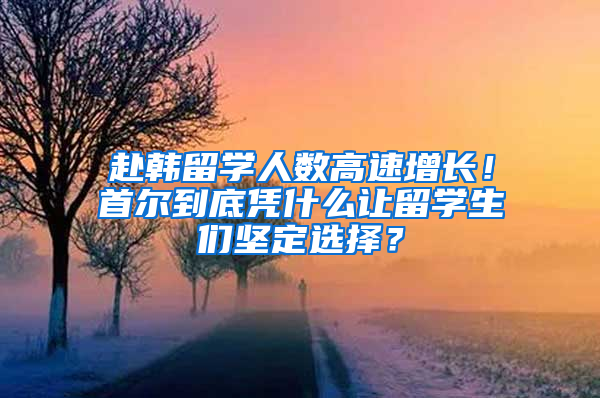 赴韩留学人数高速增长！首尔到底凭什么让留学生们坚定选择？