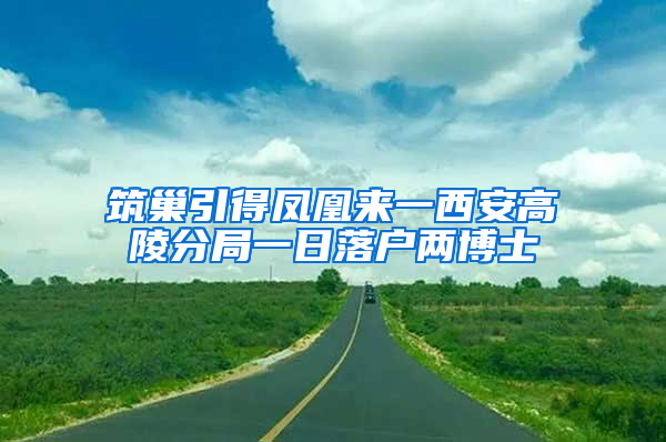 筑巢引得凤凰来一西安高陵分局一日落户两博士