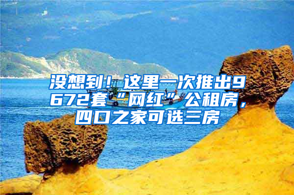 没想到！这里一次推出9672套“网红”公租房，四口之家可选三房