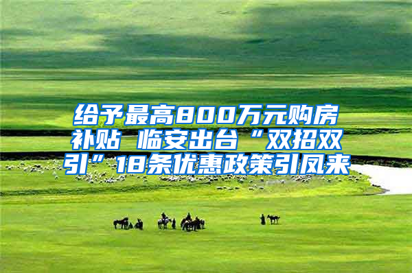 给予最高800万元购房补贴 临安出台“双招双引”18条优惠政策引凤来
