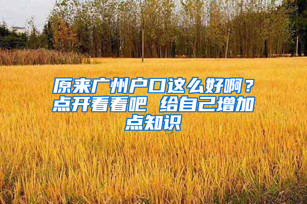 原来广州户口这么好啊？点开看看吧 给自己增加点知识