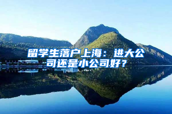 留学生落户上海：进大公司还是小公司好？