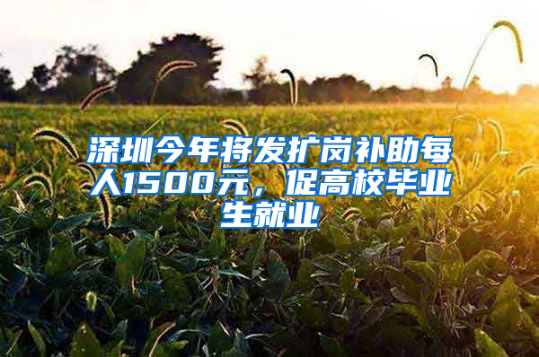 深圳今年将发扩岗补助每人1500元，促高校毕业生就业