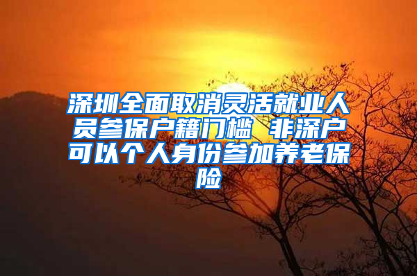 深圳全面取消灵活就业人员参保户籍门槛 非深户可以个人身份参加养老保险