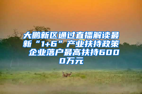 大鹏新区通过直播解读最新“1+6”产业扶持政策 企业落户最高扶持6000万元